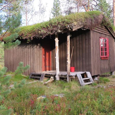 Hov Hyttegrend Viksdalen Oda fotoğraf