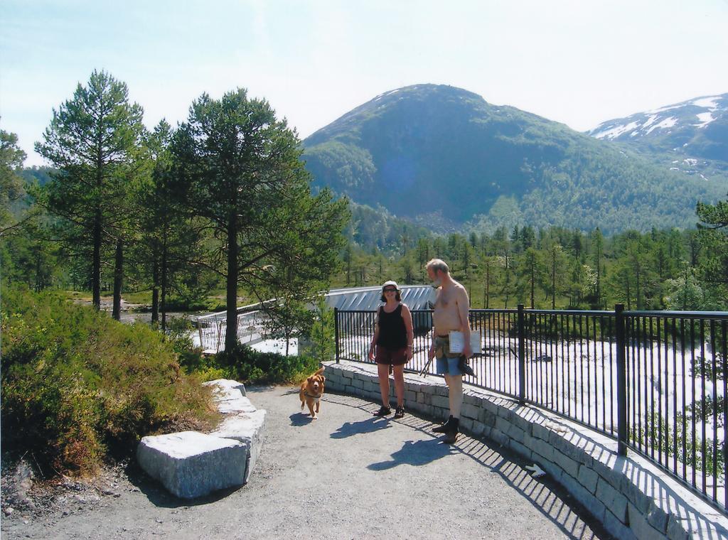 Hov Hyttegrend Viksdalen Dış mekan fotoğraf
