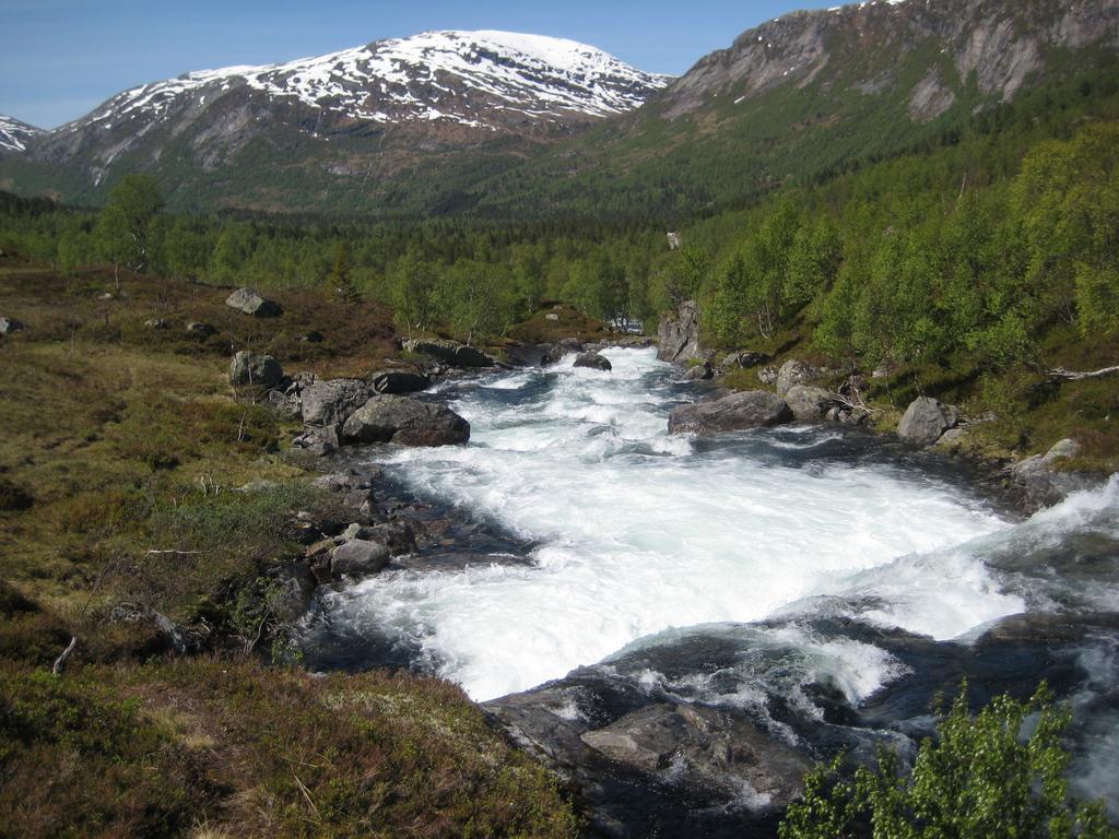 Hov Hyttegrend Viksdalen Dış mekan fotoğraf