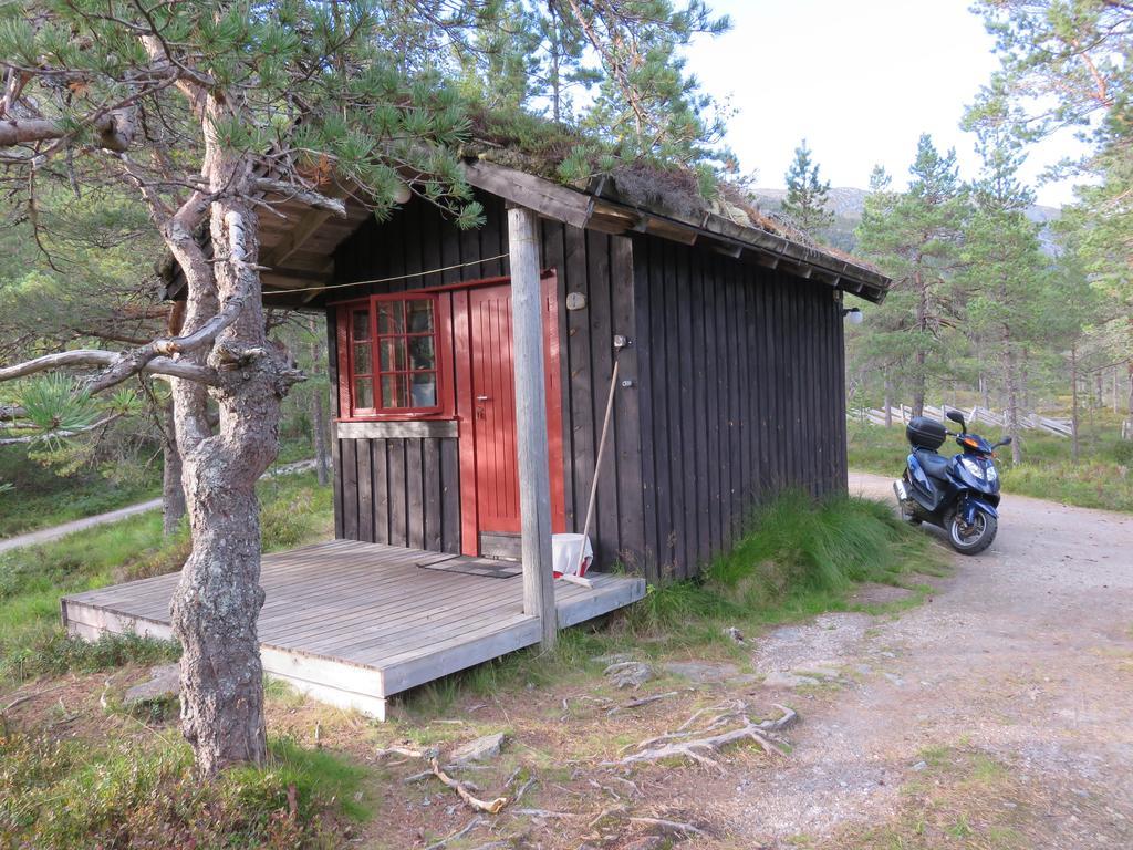 Hov Hyttegrend Viksdalen Dış mekan fotoğraf