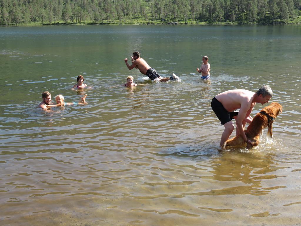 Hov Hyttegrend Viksdalen Dış mekan fotoğraf